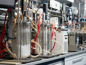 Im Bild: Labor-Bioreaktoren zur aeroben Kultivierung von Mikroorganismen.